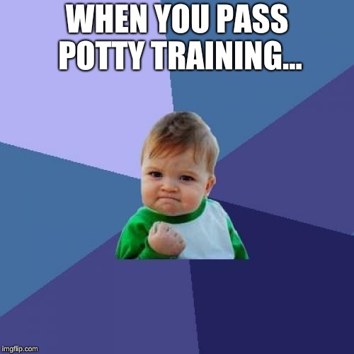 Success Kid Meme | WHEN YOU PASS POTTY TRAINING... | image tagged in memes,success kid | made w/ Imgflip meme maker