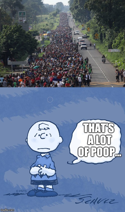 In a country with third world utilities... where is all the waste being deposited on this trek? | THAT'S A LOT OF POOP... | image tagged in caravan,funny memes,funny | made w/ Imgflip meme maker