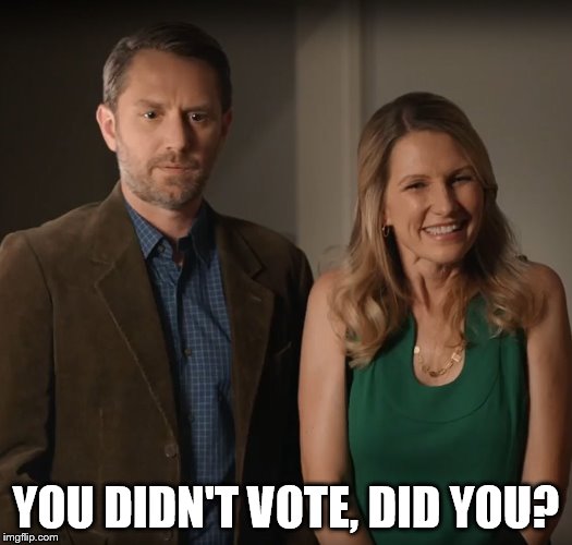 YOU DIDN'T VOTE, DID YOU? | image tagged in wtf-2018 | made w/ Imgflip meme maker