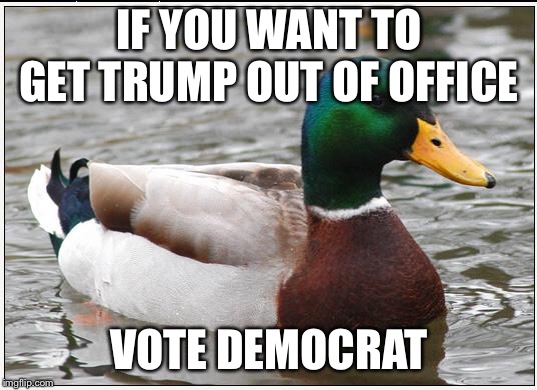 Actual Advice Mallard Meme | IF YOU WANT TO GET TRUMP OUT OF OFFICE; VOTE DEMOCRAT | image tagged in memes,actual advice mallard | made w/ Imgflip meme maker
