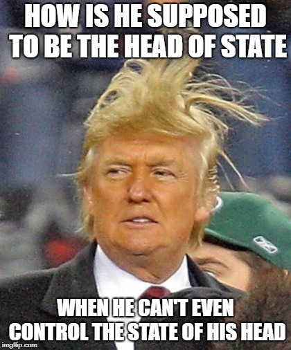 Trump hair | HOW IS HE SUPPOSED TO BE THE HEAD OF STATE; WHEN HE CAN'T EVEN CONTROL THE STATE OF HIS HEAD | image tagged in trump hair,memes,funny,republicans | made w/ Imgflip meme maker