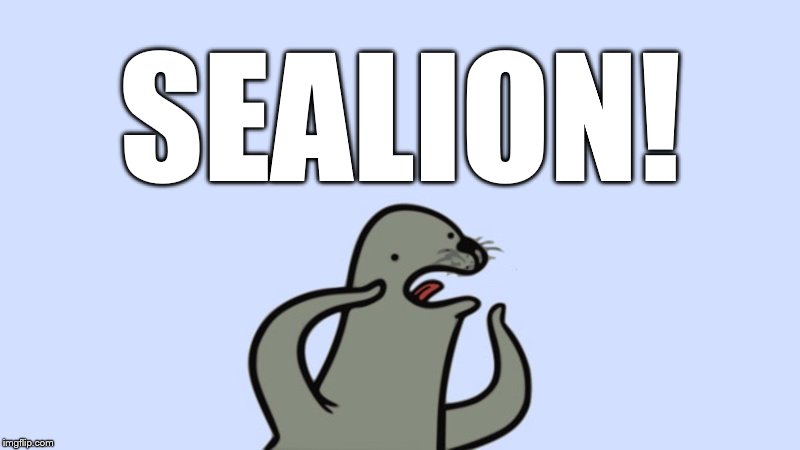Sealion callout | SEALION! | image tagged in sealion,sealioning | made w/ Imgflip meme maker