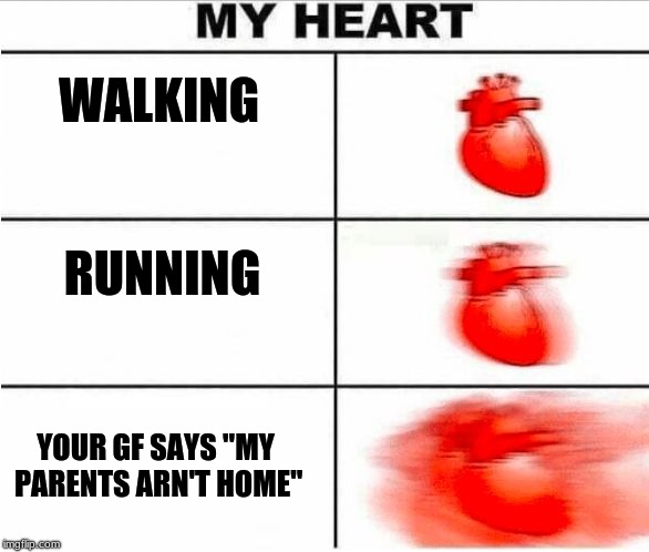 Heartbeat | WALKING; RUNNING; YOUR GF SAYS "MY PARENTS ARN'T HOME" | image tagged in heartbeat | made w/ Imgflip meme maker