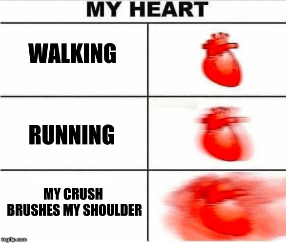 Heartbeat | WALKING; RUNNING; MY CRUSH BRUSHES MY SHOULDER | image tagged in heartbeat | made w/ Imgflip meme maker
