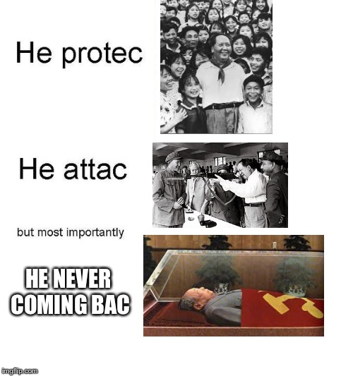 Chairman Mao protec but he also attac | HE NEVER COMING BAC | image tagged in he protec,mao zedong,china,communist,marxism,noccp_no_newchina | made w/ Imgflip meme maker