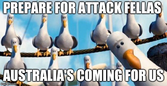Nemo Birds | PREPARE FOR ATTACK FELLAS AUSTRALIA'S COMING FOR US | image tagged in nemo birds | made w/ Imgflip meme maker
