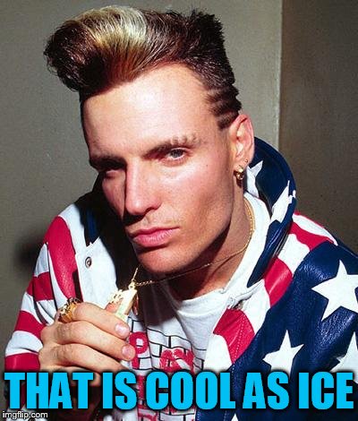 vanilla ice | THAT IS COOL AS ICE | image tagged in vanilla ice | made w/ Imgflip meme maker