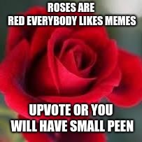 roses are red | ROSES ARE RED
EVERYBODY LIKES MEMES; UPVOTE OR YOU WILL HAVE SMALL PEEN | image tagged in roses are red | made w/ Imgflip meme maker