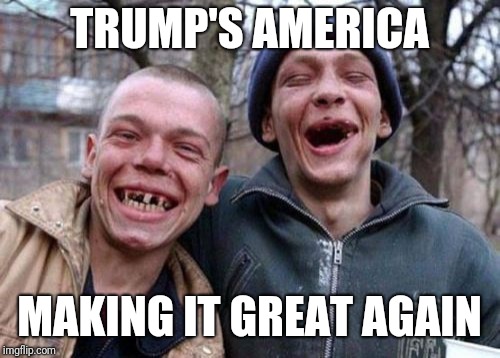 Ugly Twins | TRUMP'S AMERICA; MAKING IT GREAT AGAIN | image tagged in memes,ugly twins | made w/ Imgflip meme maker