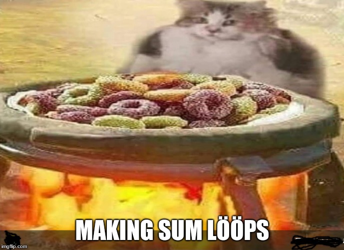 MAKING SUM LÖÖPS | image tagged in funny meme | made w/ Imgflip meme maker