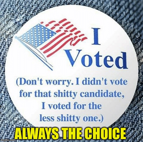 So true  | ALWAYS THE CHOICE | image tagged in voted,political meme,memes,lesser of two evils | made w/ Imgflip meme maker