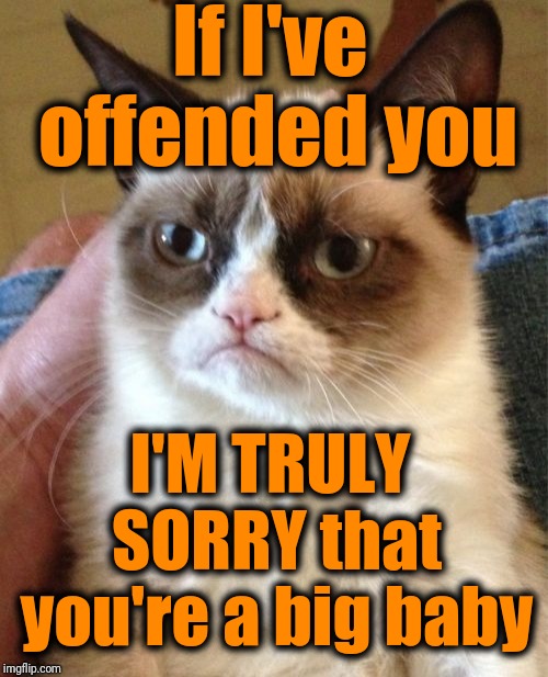 Did you really think Grumpy Cat was gonna sincerely apologize? Really?? | If I've offended you; I'M TRULY SORRY that you're a big baby | image tagged in memes,grumpy cat | made w/ Imgflip meme maker