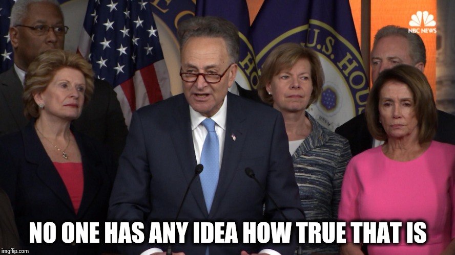 Democrat congressmen | NO ONE HAS ANY IDEA HOW TRUE THAT IS | image tagged in democrat congressmen | made w/ Imgflip meme maker