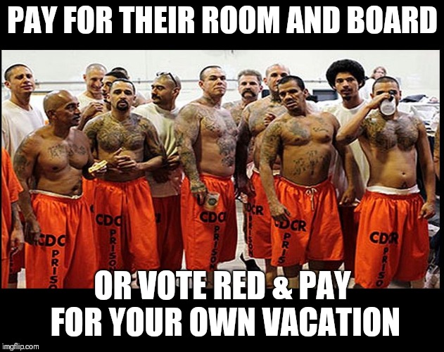 Illegal Aliens for Real | PAY FOR THEIR ROOM AND BOARD; OR VOTE RED & PAY FOR YOUR OWN VACATION | image tagged in illegal aliens for real | made w/ Imgflip meme maker
