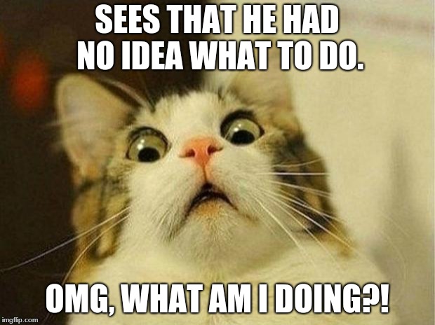Trying to build something. | SEES THAT HE HAD NO IDEA WHAT TO DO. OMG, WHAT AM I DOING?! | image tagged in memes,scared cat | made w/ Imgflip meme maker