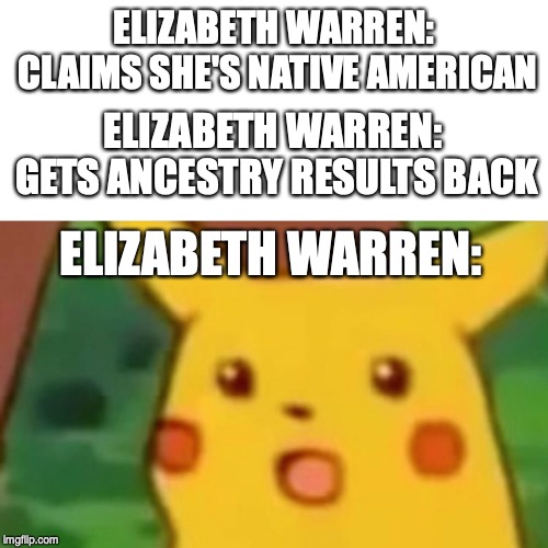 Surprised Pikachu | ELIZABETH WARREN: CLAIMS SHE'S NATIVE AMERICAN; ELIZABETH WARREN: GETS ANCESTRY RESULTS BACK; ELIZABETH WARREN: | image tagged in surprised pikachu | made w/ Imgflip meme maker