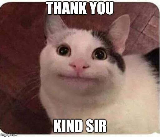 Polite Cat | THANK YOU; KIND SIR | image tagged in polite cat | made w/ Imgflip meme maker