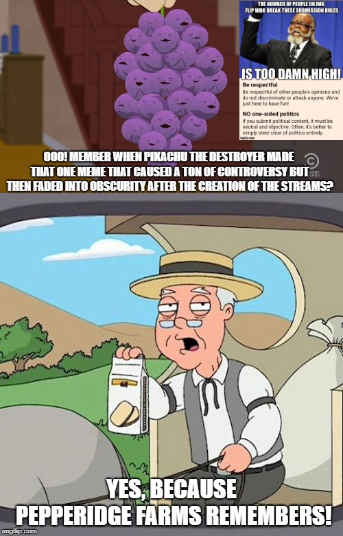 Do you also member when I combined two templates into one meme? | OOO! MEMBER WHEN PIKACHU THE DESTROYER MADE THAT ONE MEME THAT CAUSED A TON OF CONTROVERSY BUT THEN FADED INTO OBSCURITY AFTER THE CREATION OF THE STREAMS? YES, BECAUSE PEPPERIDGE FARMS REMEMBERS! | image tagged in member berries,pepperidge farm remembers,old memes | made w/ Imgflip meme maker