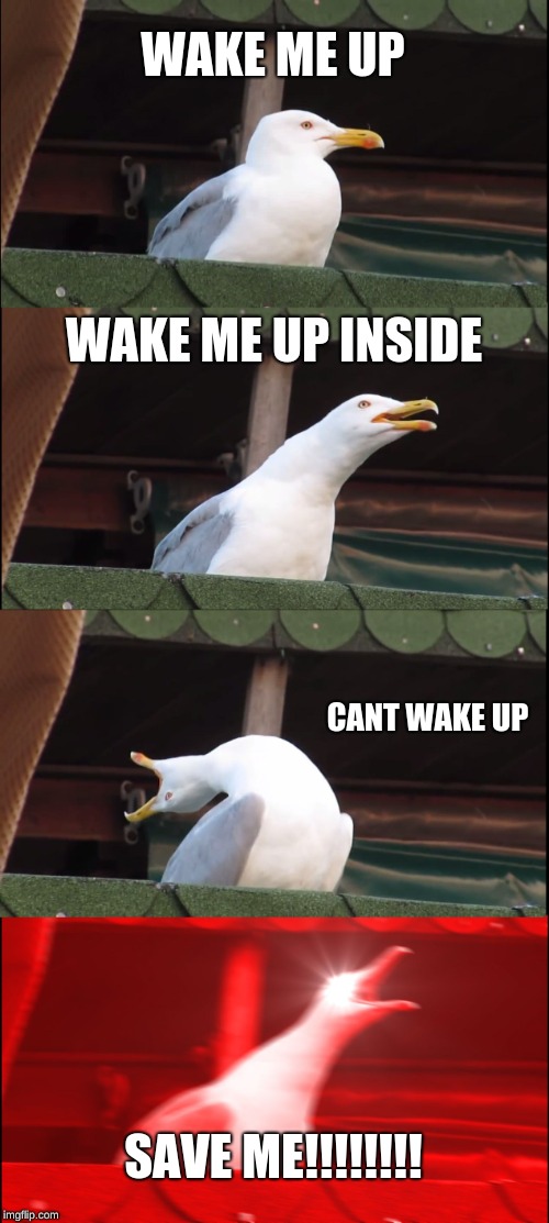Inhaling Seagull Meme | WAKE ME UP; WAKE ME UP INSIDE; CANT WAKE UP; SAVE ME!!!!!!!! | image tagged in memes,inhaling seagull | made w/ Imgflip meme maker