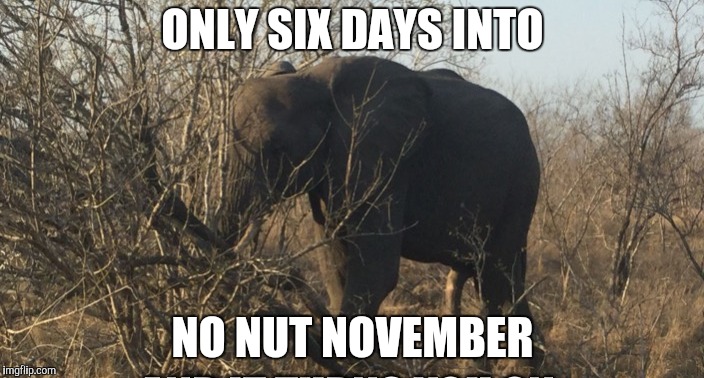 ONLY SIX DAYS INTO NO NUT NOVEMBER | made w/ Imgflip meme maker