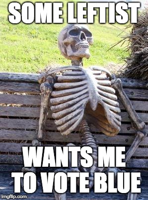 Waiting Skeleton | SOME LEFTIST; WANTS ME TO VOTE BLUE | image tagged in memes,waiting skeleton | made w/ Imgflip meme maker