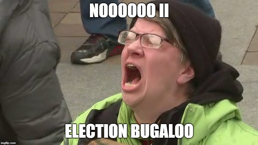 Nooooo II, Election Bugaloo | NOOOOOO II; ELECTION BUGALOO | image tagged in election day,nooooooooo,losers,trump,red wave | made w/ Imgflip meme maker