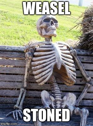 Waiting Skeleton Meme | WEASEL; STONED | image tagged in memes,waiting skeleton | made w/ Imgflip meme maker