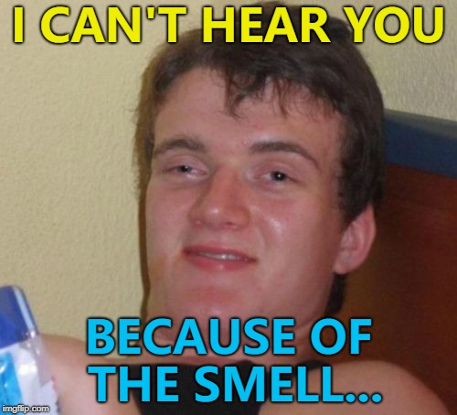 I sense that something is wrong... :) | I CAN'T HEAR YOU; BECAUSE OF THE SMELL... | image tagged in memes,10 guy,smell,senses,hearing | made w/ Imgflip meme maker
