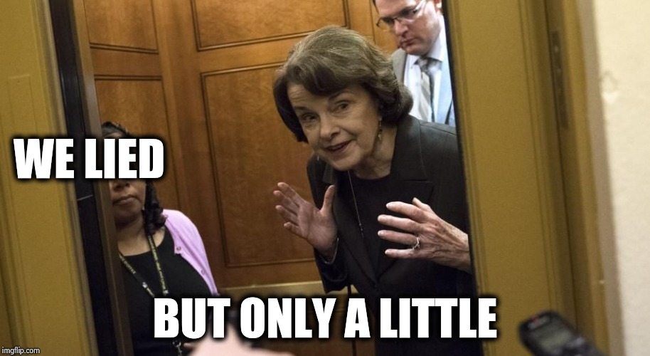 Sneaky Diane Feinstein | WE LIED BUT ONLY A LITTLE | image tagged in sneaky diane feinstein | made w/ Imgflip meme maker