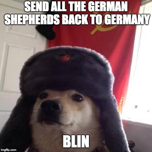 Communist dog | SEND ALL THE GERMAN SHEPHERDS BACK TO GERMANY; BLIN | image tagged in communist dog | made w/ Imgflip meme maker