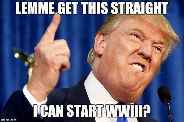 Donald Trump | LEMME GET THIS STRAIGHT; I CAN START WWIII? | image tagged in donald trump | made w/ Imgflip meme maker