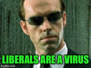 Agent Smith Matrix | LIBERALS ARE A VIRUS | image tagged in agent smith matrix | made w/ Imgflip meme maker