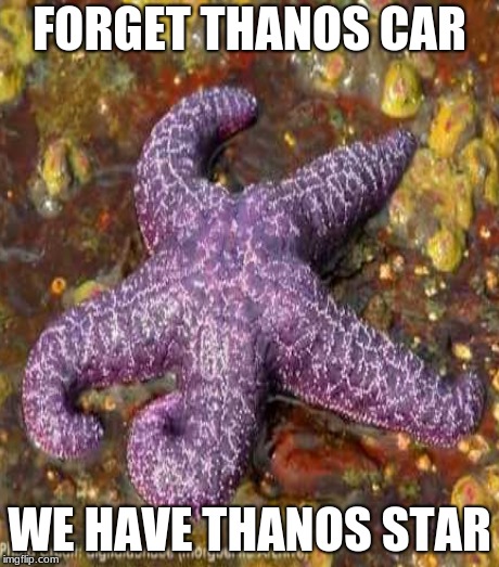 FORGET THANOS CAR; WE HAVE THANOS STAR | image tagged in thanos car,mocking spongebob,aint nobody got time for that | made w/ Imgflip meme maker