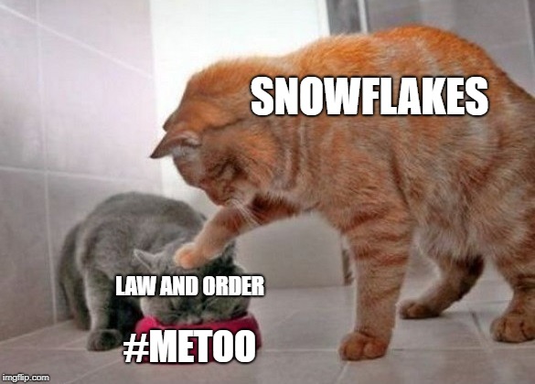 Force feed cat | SNOWFLAKES; LAW AND ORDER; #METOO | image tagged in force feed cat | made w/ Imgflip meme maker
