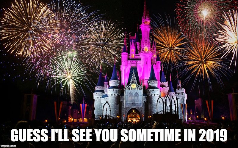 Disney World | GUESS I'LL SEE YOU SOMETIME IN 2019 | image tagged in disney world | made w/ Imgflip meme maker