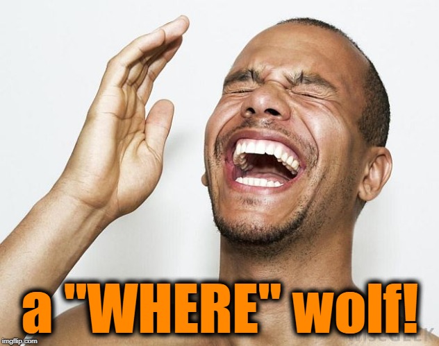 lol | a "WHERE" wolf! | image tagged in lol | made w/ Imgflip meme maker