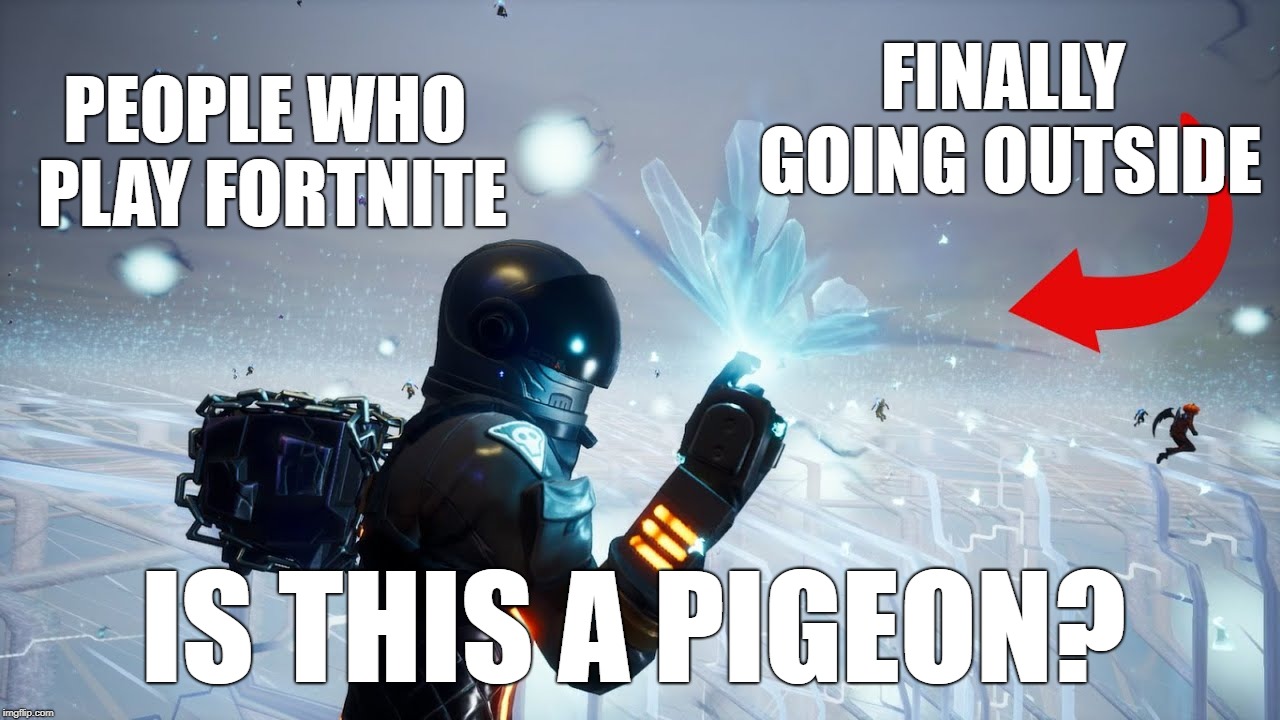 Fortnite Pigeon | FINALLY GOING OUTSIDE; PEOPLE WHO PLAY FORTNITE; IS THIS A PIGEON? | image tagged in fortnite meme,is this a pigeon | made w/ Imgflip meme maker