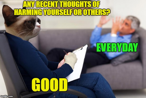 Grumpy Psychiatrist | ANY RECENT THOUGHTS OF HARMING YOURSELF OR OTHERS? EVERYDAY; GOOD | image tagged in funny memes,grumpy cat,psychiatrist,psychology,therapy | made w/ Imgflip meme maker