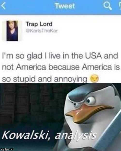 Kowalski analysis meme | image tagged in kowalski analysis,kowalski,penguins,memes | made w/ Imgflip meme maker