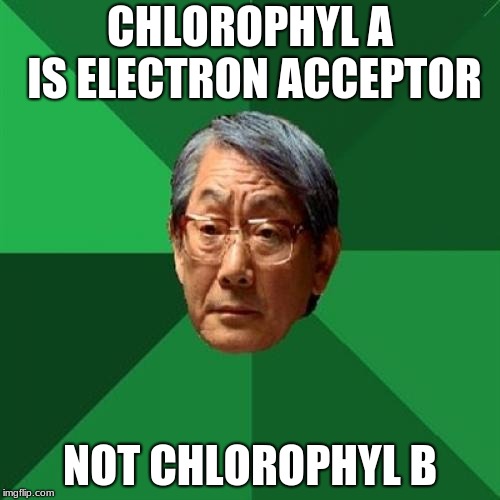 Learn something son | CHLOROPHYL A IS ELECTRON ACCEPTOR; NOT CHLOROPHYL B | image tagged in memes,high expectations asian father,biology,school,high school,science | made w/ Imgflip meme maker