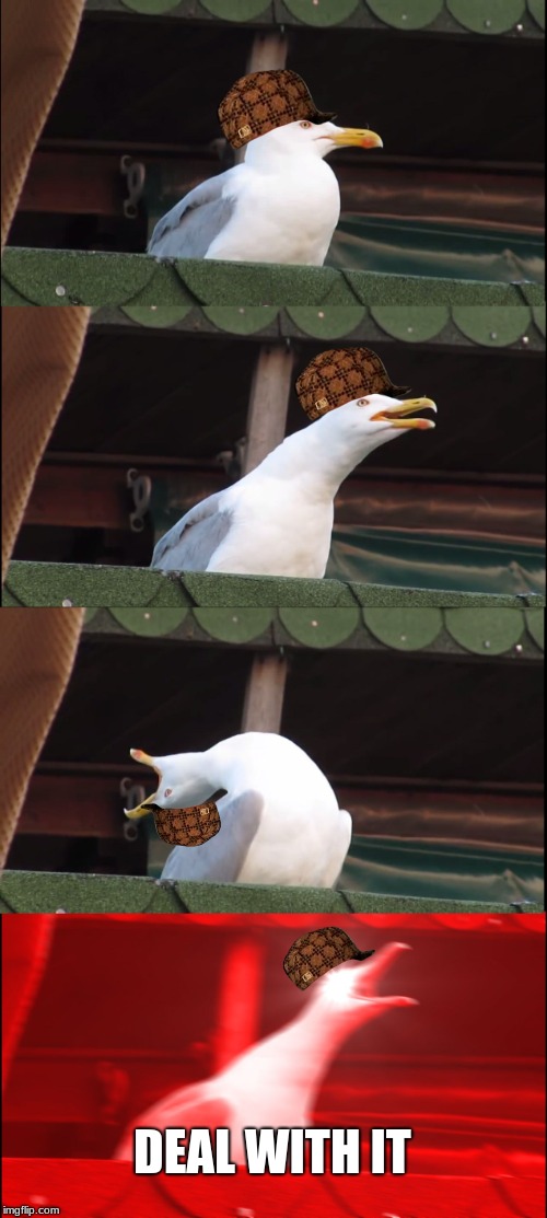 Inhaling Seagull | DEAL WITH IT | image tagged in memes,inhaling seagull,scumbag | made w/ Imgflip meme maker