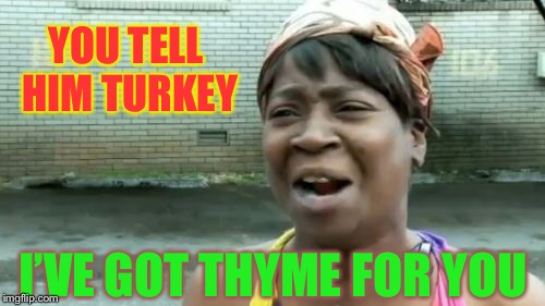 Ain't Nobody Got Time For That Meme | YOU TELL HIM TURKEY I’VE GOT THYME FOR YOU | image tagged in memes,aint nobody got time for that | made w/ Imgflip meme maker