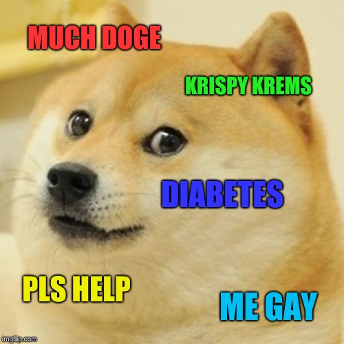 Doge | MUCH DOGE; KRISPY KREMS; DIABETES; PLS HELP; ME GAY | image tagged in memes,doge | made w/ Imgflip meme maker