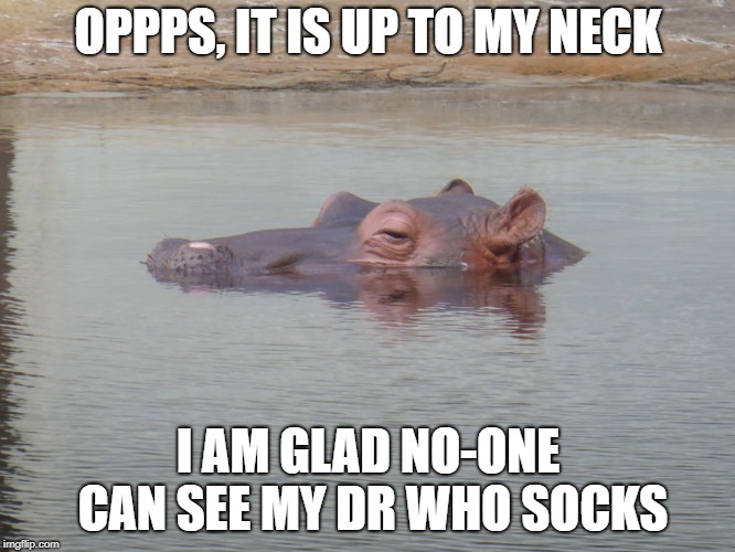 hippo | OPPPS, IT IS UP TO MY NECK; I AM GLAD NO-ONE CAN SEE MY DR WHO SOCKS | image tagged in funny meme | made w/ Imgflip meme maker