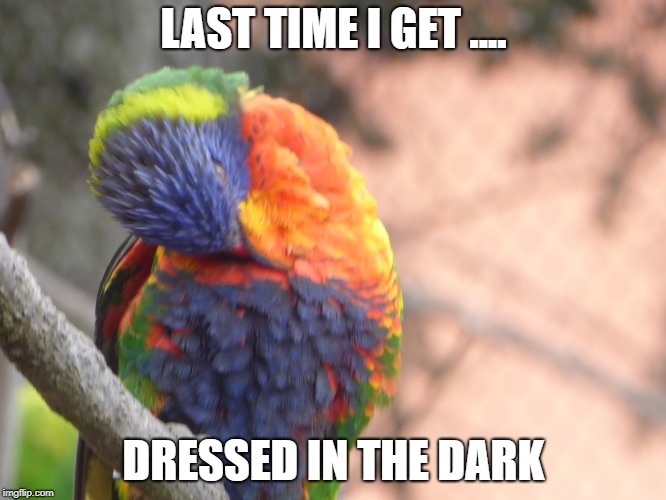 colour | LAST TIME I GET .... DRESSED IN THE DARK | image tagged in funny memes | made w/ Imgflip meme maker