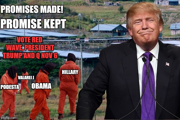 Red wave, President Trump Wave | PROMISES MADE! PROMISE KEPT; VOTE RED WAVE, PRESIDENT TRUMP AND Q NOV 6; VALAREI J; HILLARY; OBAMA; PODESTA | image tagged in president trump locks her up,red wave,vote red nov 6,gitmo deepstaters | made w/ Imgflip meme maker