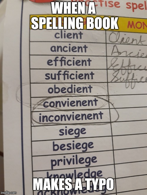 This is very CONVENIENT, am I right? | WHEN A SPELLING BOOK; MAKES A TYPO | image tagged in spelling error,funny memes | made w/ Imgflip meme maker