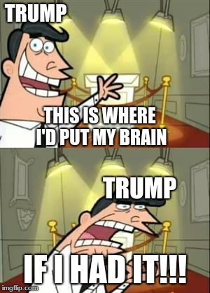 This Is Where I'd Put My Trophy If I Had One Meme | TRUMP; THIS IS WHERE I'D PUT MY BRAIN; TRUMP; IF I HAD IT!!! | image tagged in memes,this is where i'd put my trophy if i had one | made w/ Imgflip meme maker
