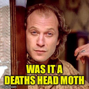 Buffalo Bill Silence of the lambs | WAS IT A DEATHS HEAD MOTH | image tagged in buffalo bill silence of the lambs | made w/ Imgflip meme maker