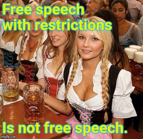 Free speech with restrictions; Is not free speech. | made w/ Imgflip meme maker